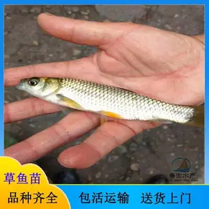 �˹���ֳ��˿������ �Ĵ糬������� �������� ��������