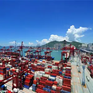 肇庆靠谱的出口货代 真诚推荐 广州航承国际物流供应