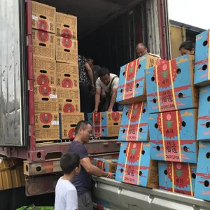 杭州发北京广州重庆成都物流 仓储物流 仓库储存 恒温仓库 高标仓库 整车准时送达
