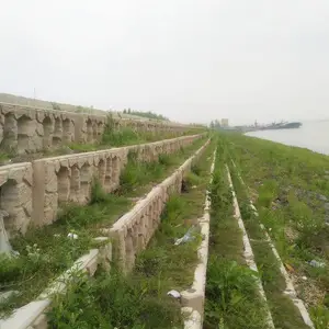 ����ʽ��̬���ºӵ�����������Ԥ�ƹ���