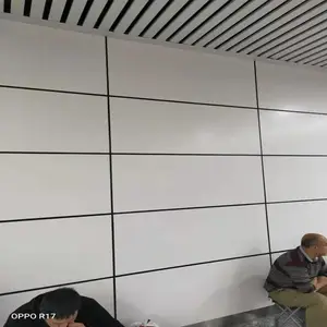 �������������� ��ǽ2.5���̼������֧����ͼ�ӹ�