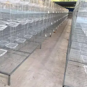 哪里有连体鸽笼生产厂家??鸽子笼多钱一套?不锈钢笼广西