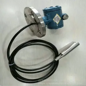 CYB31-Ⅱ分体式液位变送器