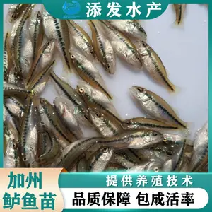 �㶫������������������������ˮ�� �����������