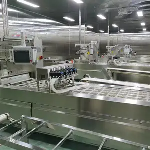 黄精拉伸膜真空包装机 食品真空包装设备 全自动包装流水线