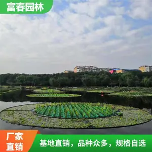 �нӸ���ˮ��ֲ�︡���ӵ��̻���ˮֲ����̬���������̻�����