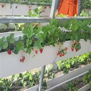 厂家直销立体式种植槽 A字架四层七根槽 发货快