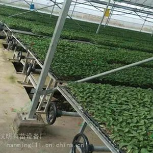 安平汉明移动式育苗床厂-年底超值特惠-质量优