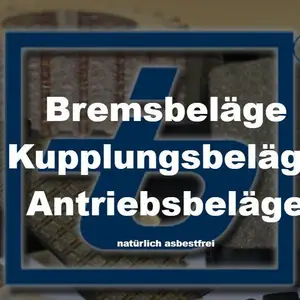 供应德国 THEODOR BRANDT GMBH 刹车片原材料 13195861-4732