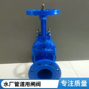 DN80 弹性座封闸阀 暗杆软密封闸阀 井用闸阀 市政道路给水 铸铁阀体 质保一年