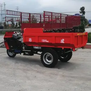  18��������ũ�ó� ���Ҷ��ƽ������ֳ� 2�ְ��﹤�̳�