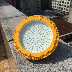 DB8405-100W防爆LED照明灯ExdIICT6IP65
