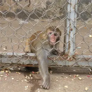 ��¡��������� ���ӷ����� ����������Ӹ�����