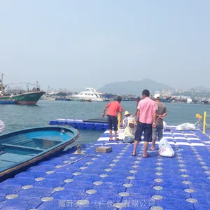 塑料海上水上平台水库码头休闲垂钓浮筒浮桶浮桥浮台浮箱浮动码头