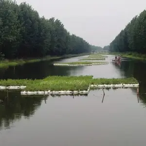 镇江市生态浮岛 植物工程 生态浮岛人工湿地