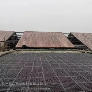 ��������ƽ���۽�����������Ľ����������