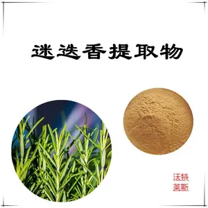 迷迭香提取物10:1 浸膏粉 喷雾干燥 可定制 沃特莱斯生物