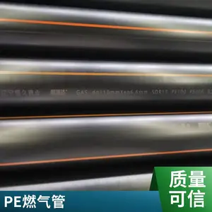 HDPE�����ܵ� ú��ȼ������ ֧�ֶ��� PE�� ��� DN200