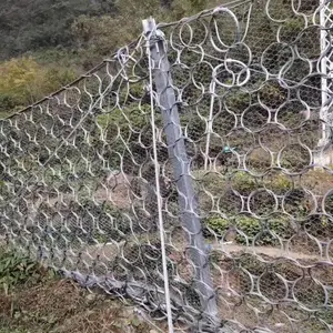 ���Դ����˿�������������������������ң�����ѡ��