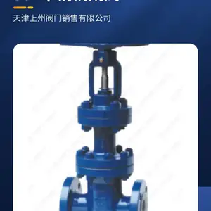 波纹管法兰闸阀WZ41H-16 上州阀门
