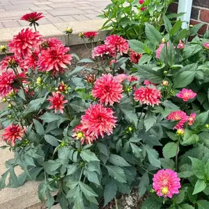 �����������������Ե��� ��̨������ͥԺ�쾰��·�߻�̳��׺