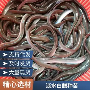 �����糧�ҹ�Ӧ �������� ˮ�������ֳ�������������