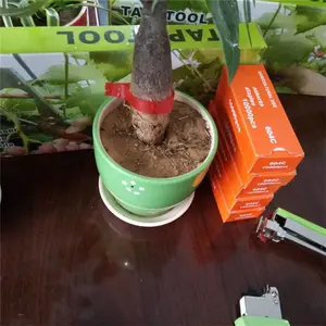 �����̶��ϼ����Ѱ�֦�� ������������