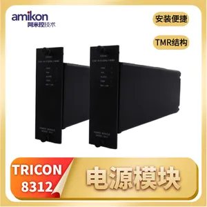Tricon 7400206-100 �ɱ�̿���ϵͳģ��