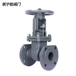 �ӱ�����Ǭ ����բ�� Z41-16C ̼�ַ���բ��dn50 ����