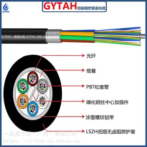 ELTFOC一路通24芯GYTAH室外单模铠装管道监控光缆