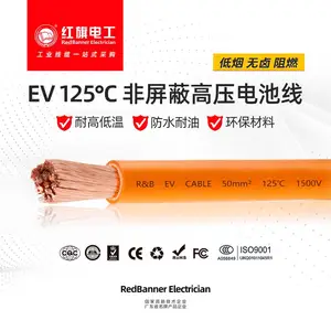 ������EV����Դ��������� ����� ��ѹES-RYJ-125��������