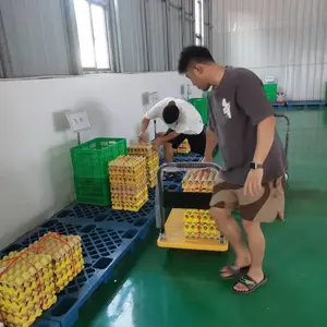 西安食材配送供应商,西安蔬菜配送公司,西安单位食堂蔬菜食材配送
