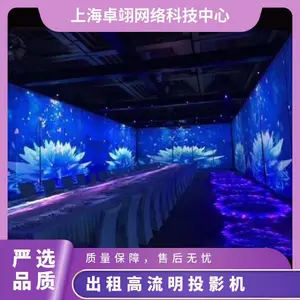 ����ͶӰ�ǳ��������ͶӰ�������ںϻ���ƴ��