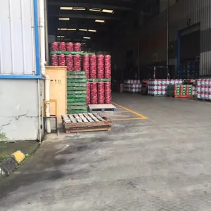 �������������װ��ζ5��1���װ��ζ���һ�۸��Ż��������