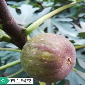 ���������������޻����磬 ��ũ�� �������޻���ʲôʱ������