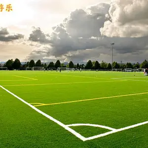 湖南衡阳人造草坪笼式足球场人造草坪厂家