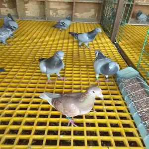���ݲ����ֽ�̤�� �������������� ��Ѩ�ǰ�
