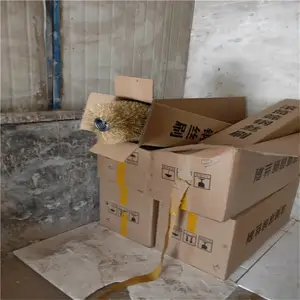 �㶫������ �����ֻ�ֱ����˿ˢ��