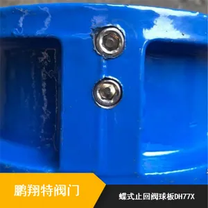 碟式缓冲止回阀球板_DH77X缓闭微阻式止回阀球板