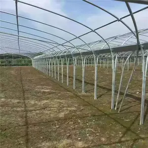 山西太谷连栋大棚管-西瓜大棚-农丰大棚骨架厂