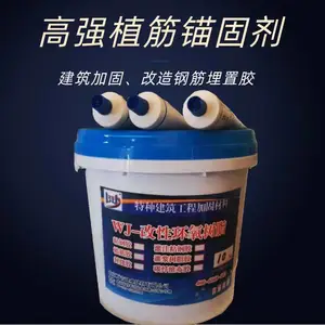 ���������ֲ� ����ǽ�ֽ�ê�̼� ������֬�ӹ̽ṹ��