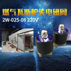 红外线瓦斯炉头燃烧器炉头通用燃气电磁阀2W-025-08 瓦斯炉头专用电磁阀
