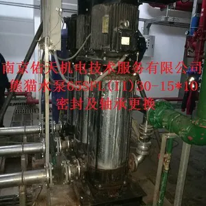 南京熊猫多级泵65SFL(II)30-15*10解体维修更换密封及22KW电机轴承更换