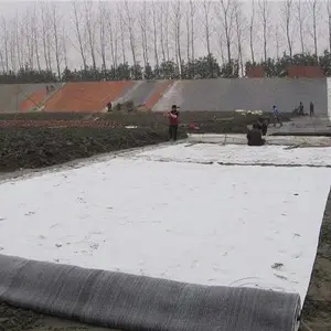 德旭达土工全国供货(图)-膨润土防水毯厂家-徐州防水毯