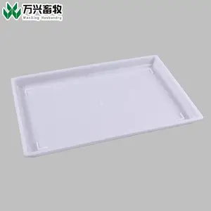 方形开食盘 鸡用加食盘 家禽开食盘