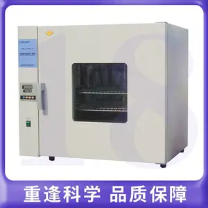 DHG-9243BS-Ⅲ 电热恒温鼓风干燥箱系列（200度）干燥 消毒 灭菌 固化