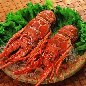 ���ڻ����ʻ�ʽ��ڱ��ش���������������ȫ ���������