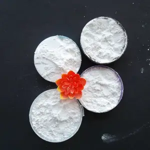 ��˾�� ���Ͻ�������� ע�ܼ������� ��̬��״���� ���������