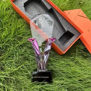 水晶透明工艺品装饰品焕环祥金属定制奖杯比赛奖牌周年纪念颁奖