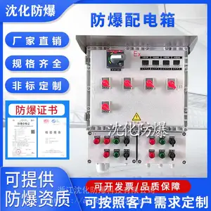 防爆控制配电箱定做 智能化操控系统仪表显示温控箱 检修插座箱